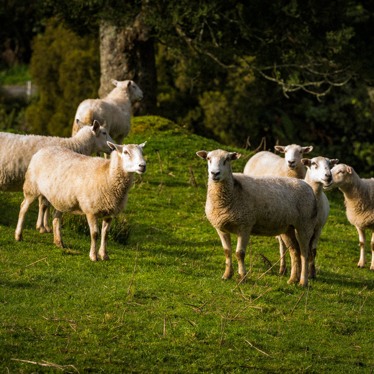 empowering-farmer-compliance-perrin-ag-consultants