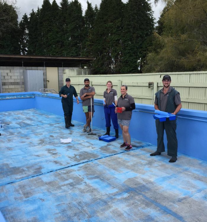 Community-school-pool